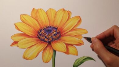 Drawing Summer Blooms: Sunflowers, Dahlias, and More
