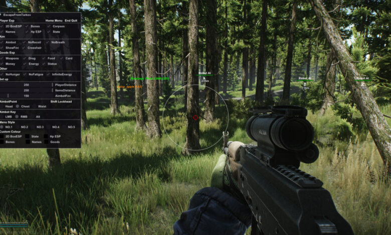 Tarkov Hacks