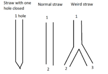 How Many Holes Does a Straw Have